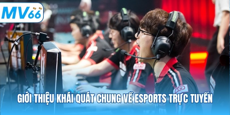 Giới thiệu khái quát chung về Esports trực tuyến
