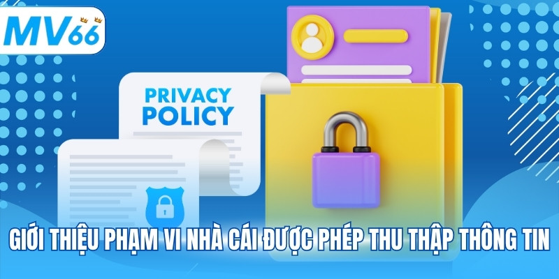 Giới thiệu phạm vi nhà cái được phép thu thập thông tin