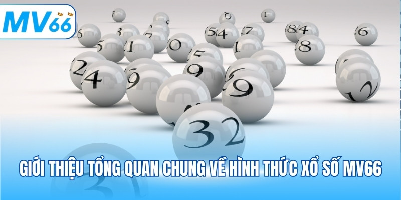 Giới thiệu tổng quan chung về hình thức xổ số MV66