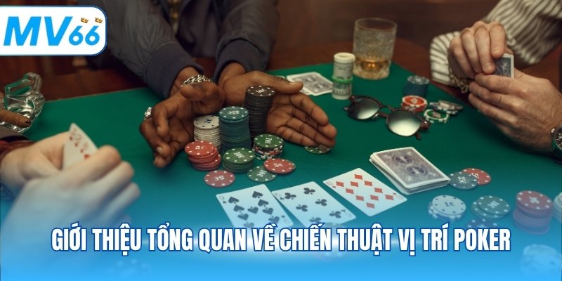 Giới thiệu tổng quan về chiến thuật vị trí poker