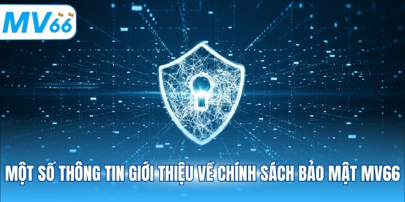 Một số thông tin giới thiệu về chính sách bảo mật MV66