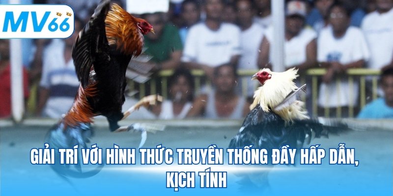 Giải trí với hình thức truyền thống đầy hấp dẫn, kịch tính