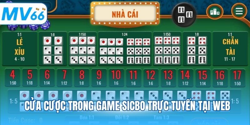 Quan sát kết quả thường xuyên để có lựa chọn khoa học