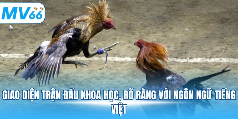 Giao diện trận đấu khoa học, rõ ràng với ngôn ngữ tiếng Việt
