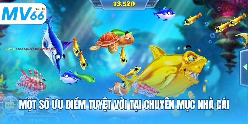 Một số ưu điểm tuyệt vời tại chuyên mục nhà cái