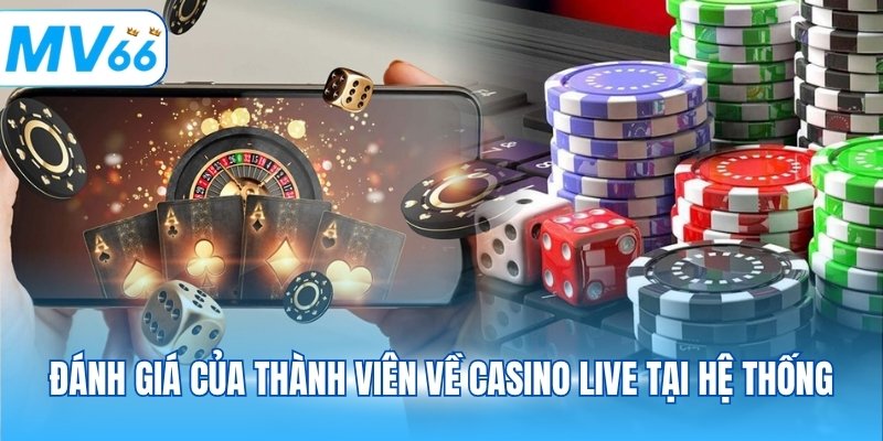 Đánh giá của thành viên về casino live tại hệ thống