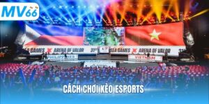 cách chơi kèo Esports