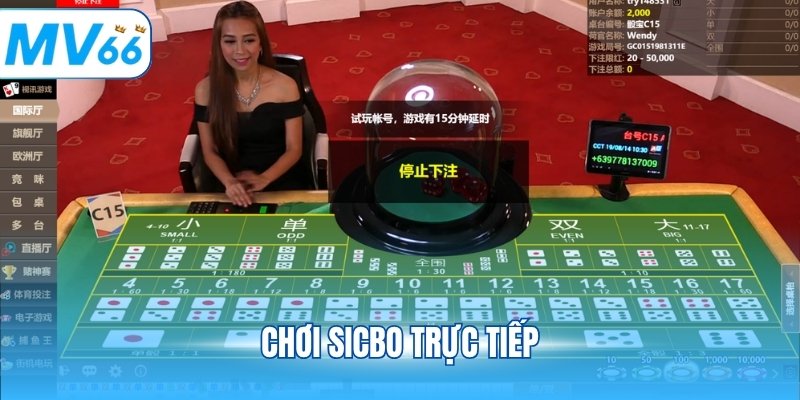 Chơi Sicbo trực tiếp